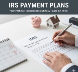 How To Setup An IRS Payment Plan, Guide and FAQs For 2021