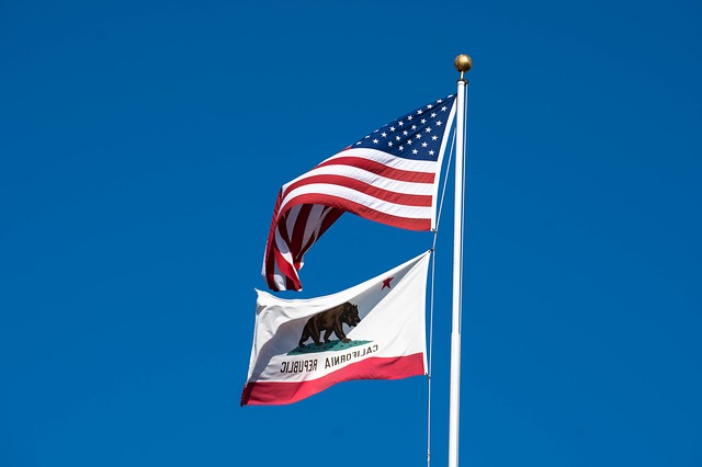 California Self Employment Tax: State & Federal Compliance